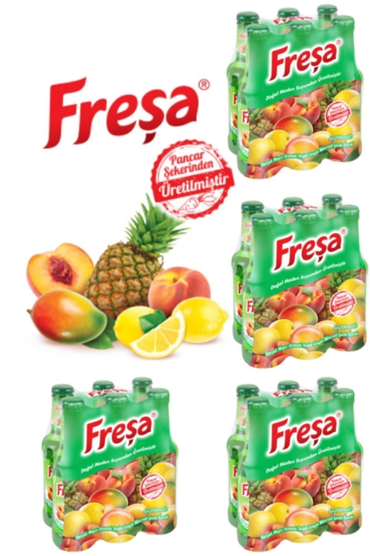 Karışık Meyve Aromalı Madensuyu Koli 24 X 200 ml