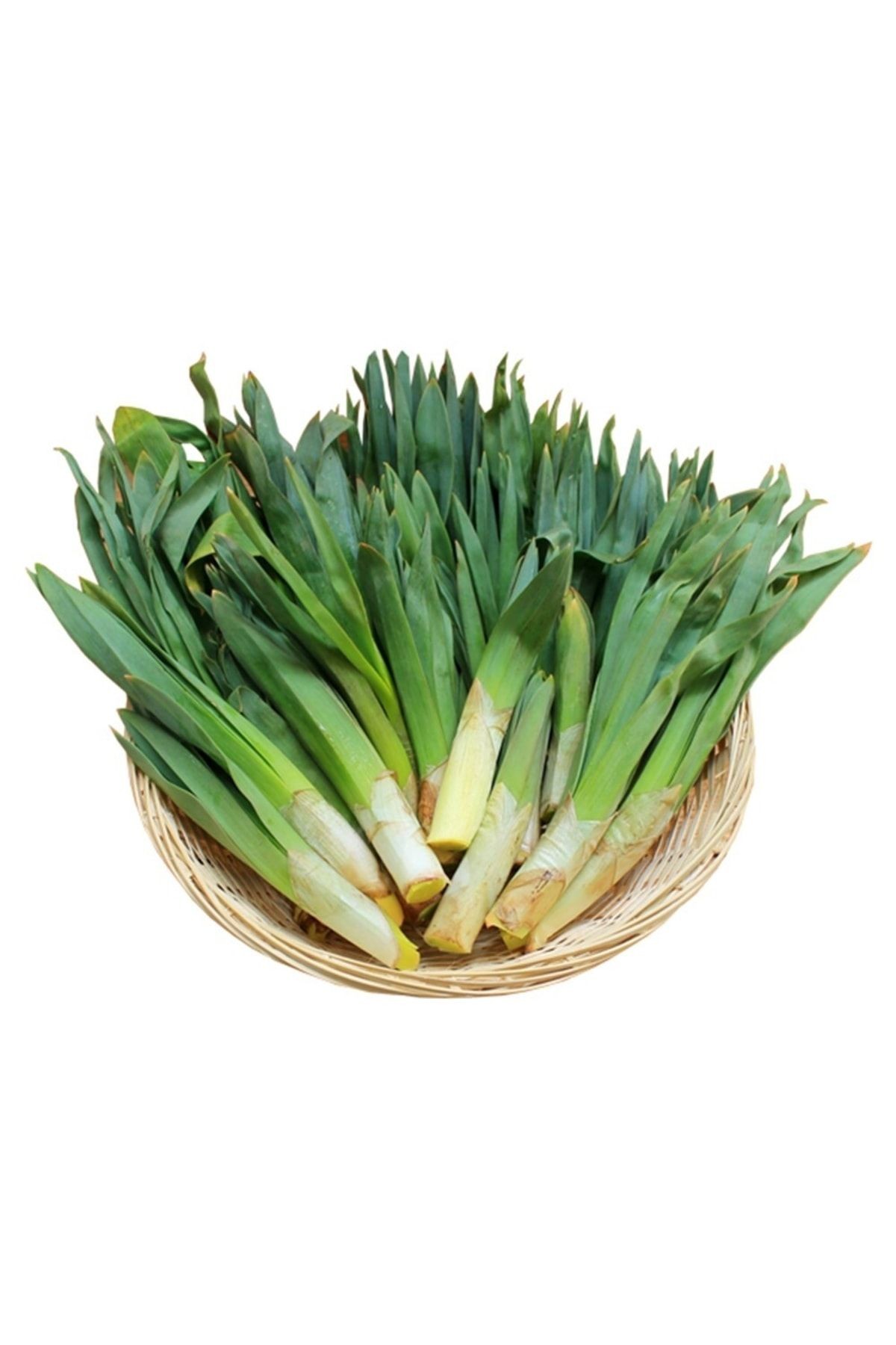 Taze Çiriş Otu 1 Kg