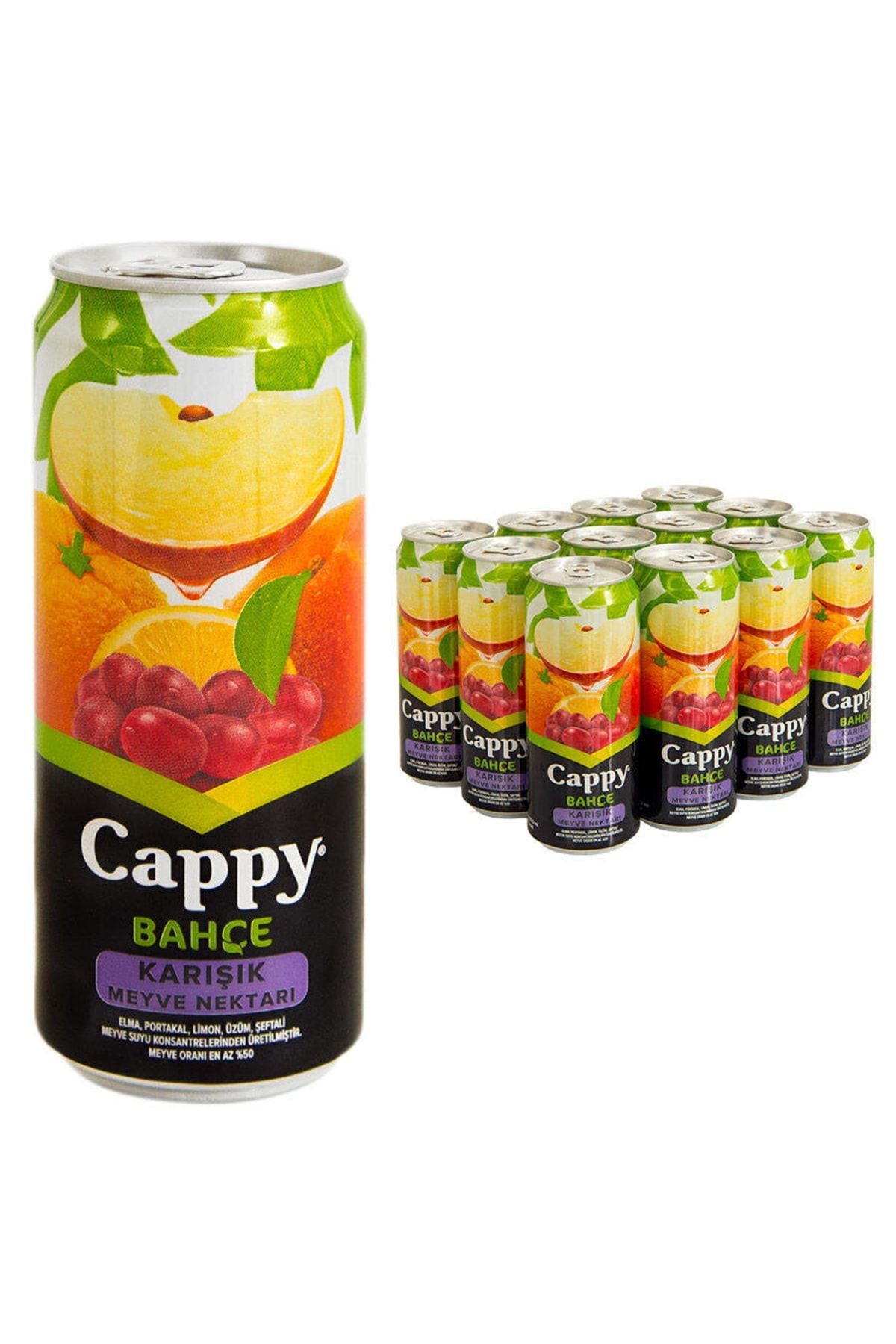 Meyvesuyu Kutu Karişık 330 Ml Tnk*12