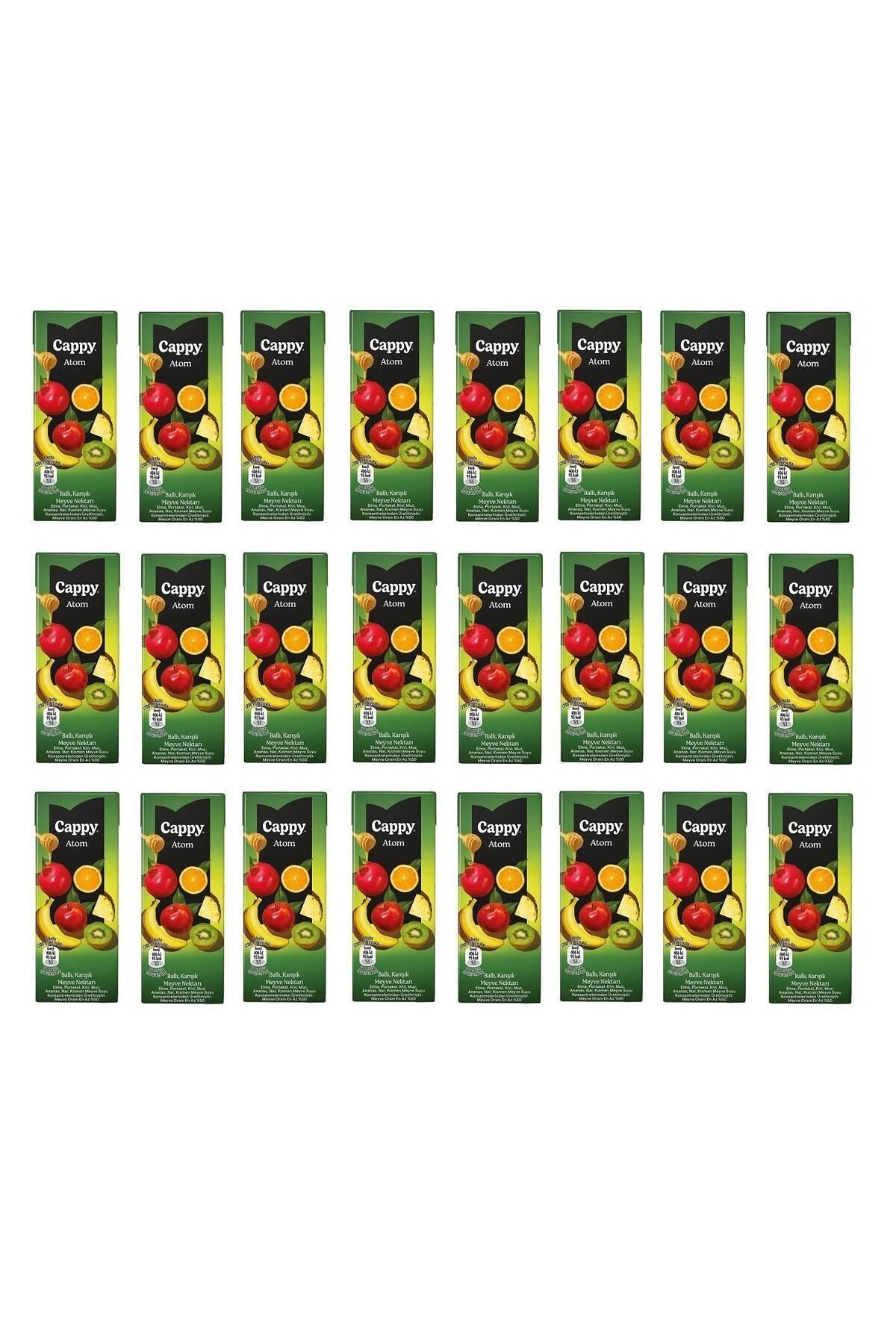 Atom Ballı Karışık Meyve Nektarı 200 Ml X 24 Adet