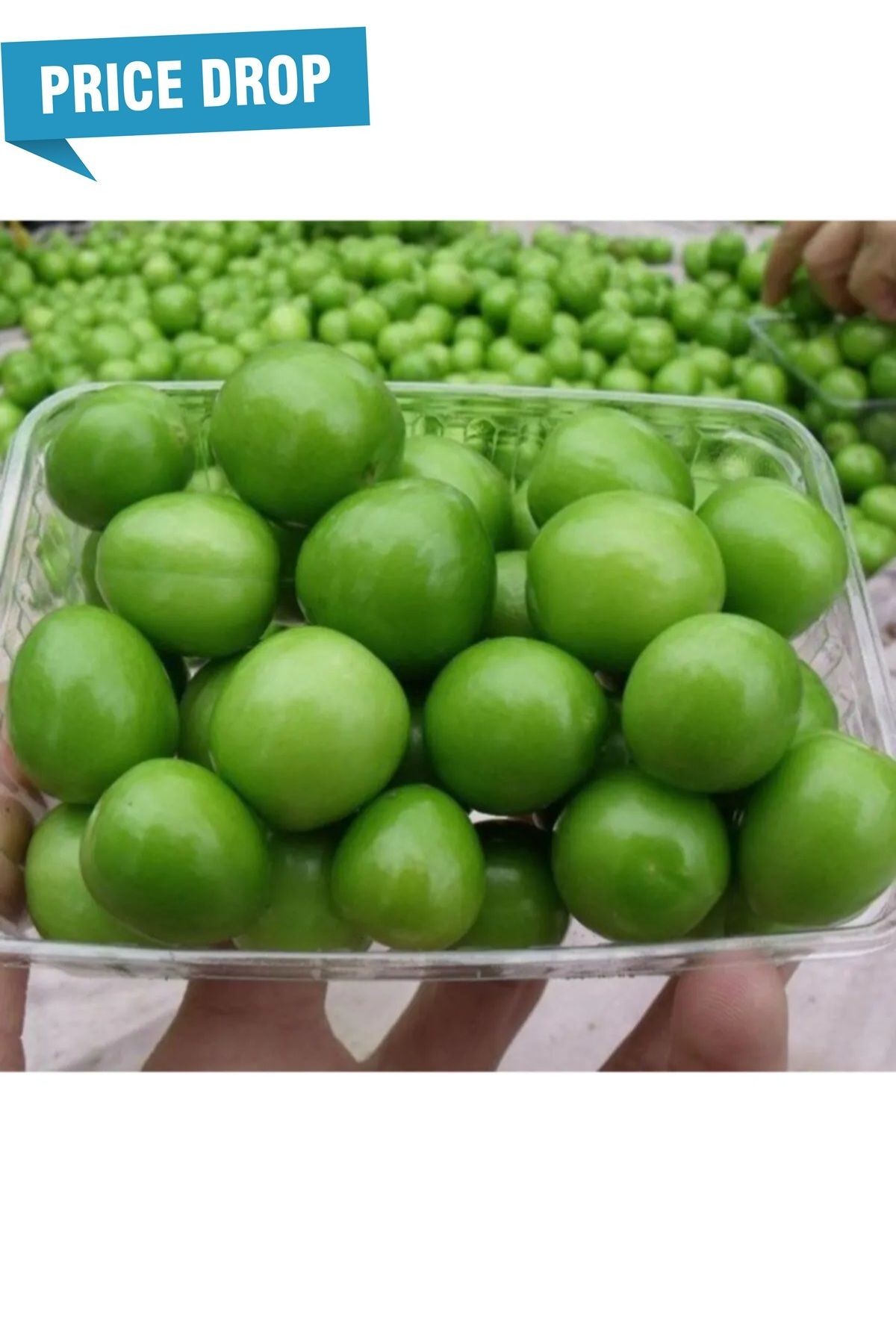 Taze Can Eriği - Yeşil Ekşi Bahçe Eriği - Taze Erik Meyvesi 1 kg