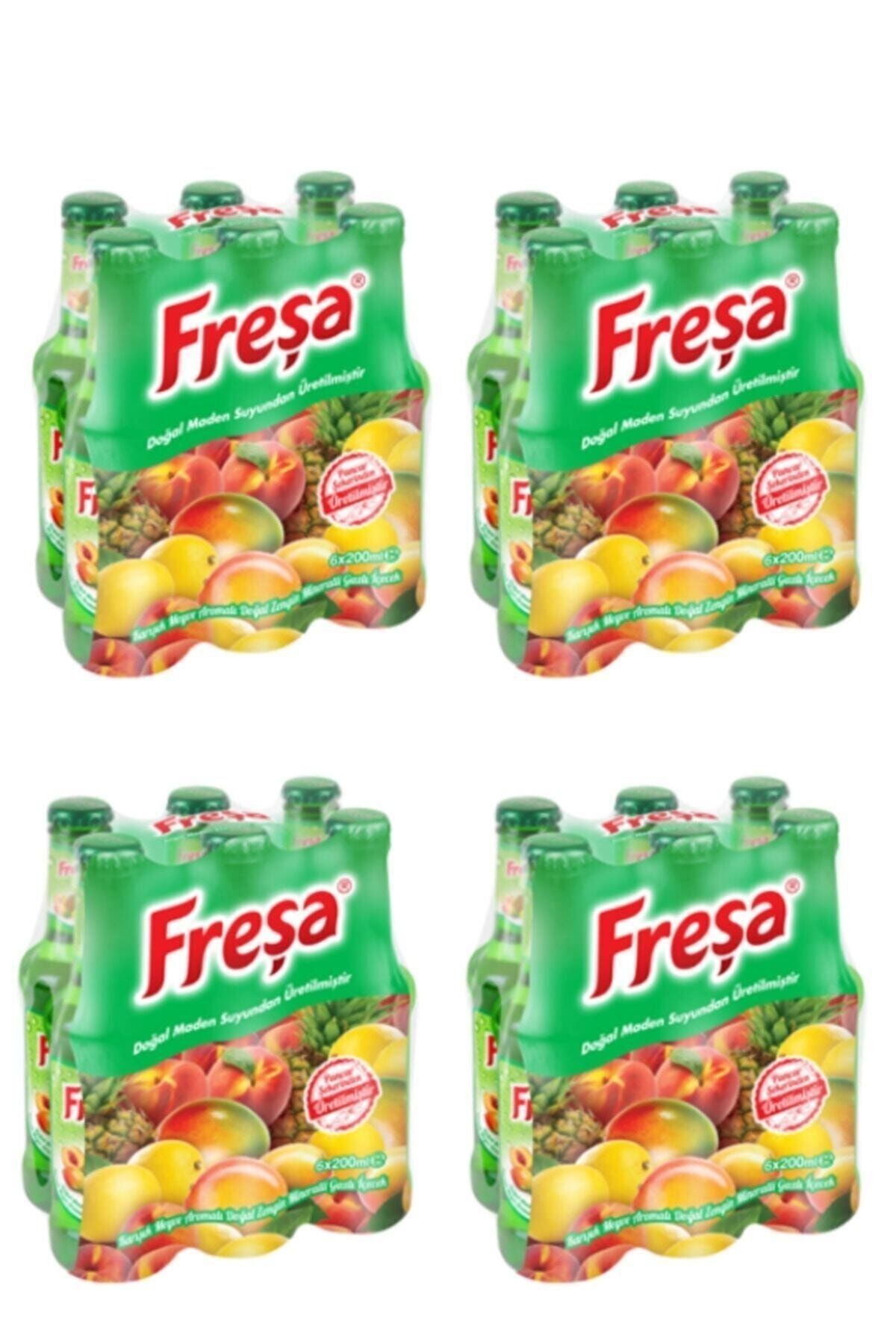 Karışık Meyve Aromalı Madensuyu Koli 24 X 200 ml