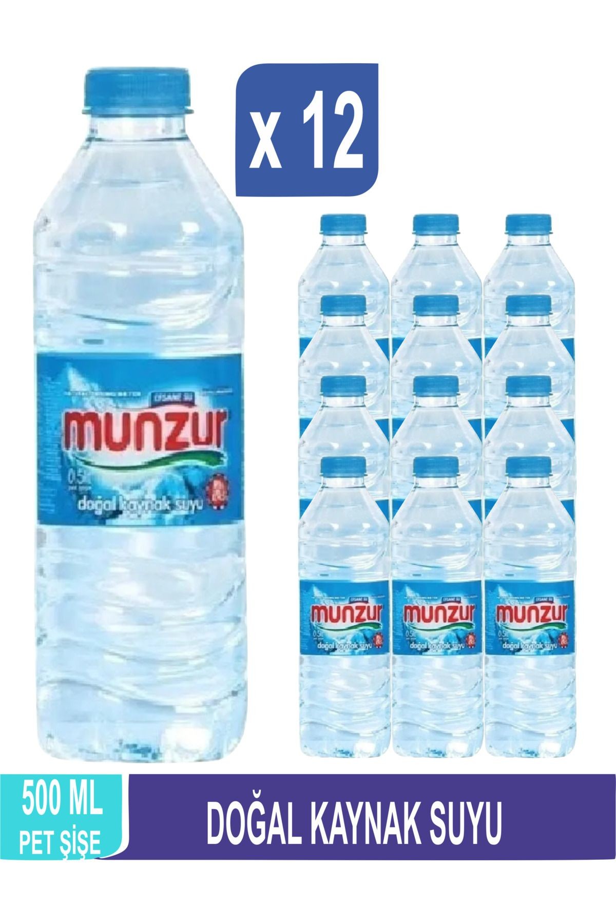 Doğal Kaynak Suyu 500 ML x 12