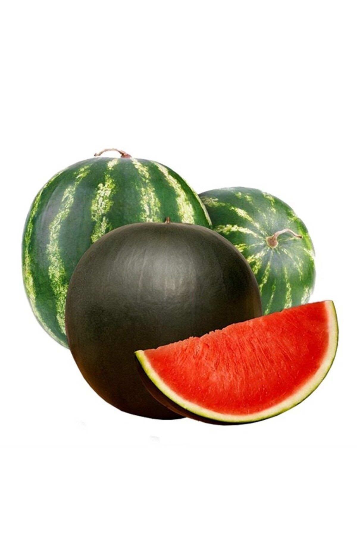Karpuz 5-6