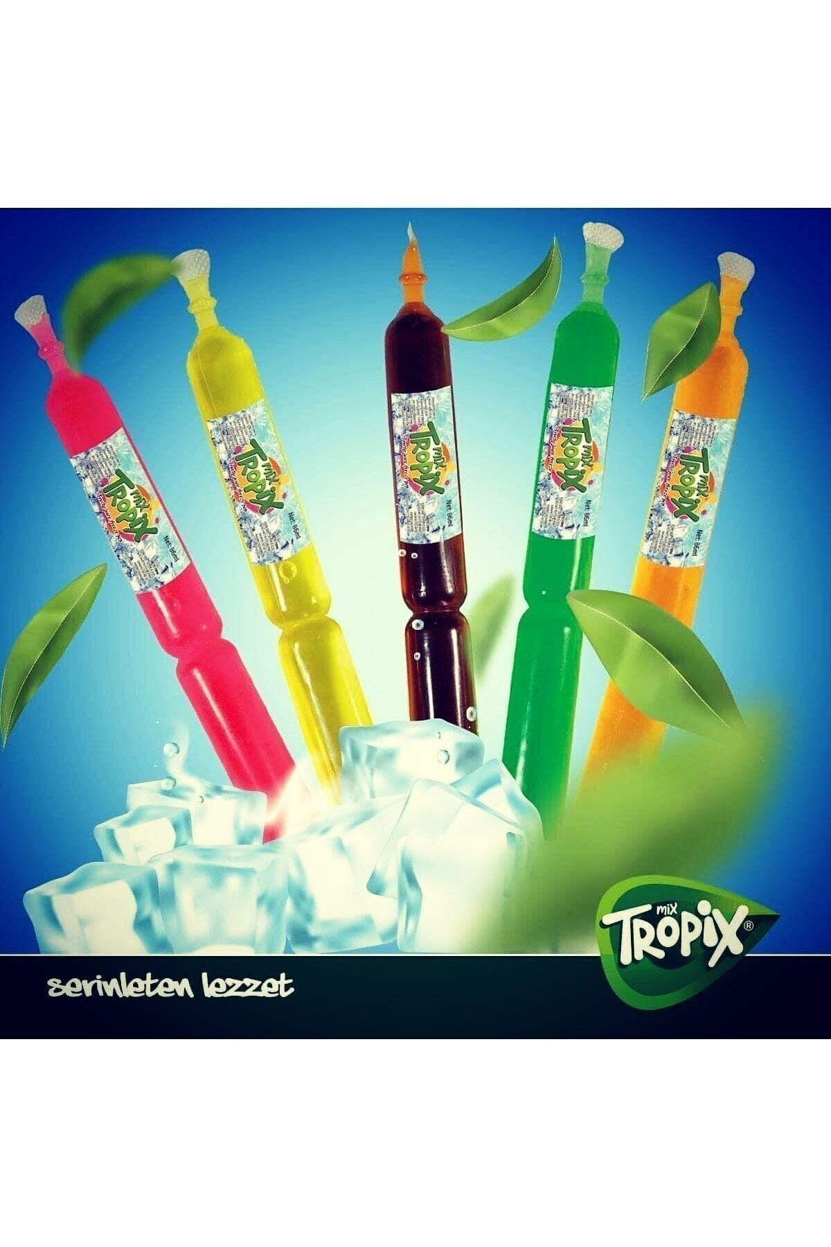 Tropix Meybuz Tüp Dondurma 150 Adet Karma Koli