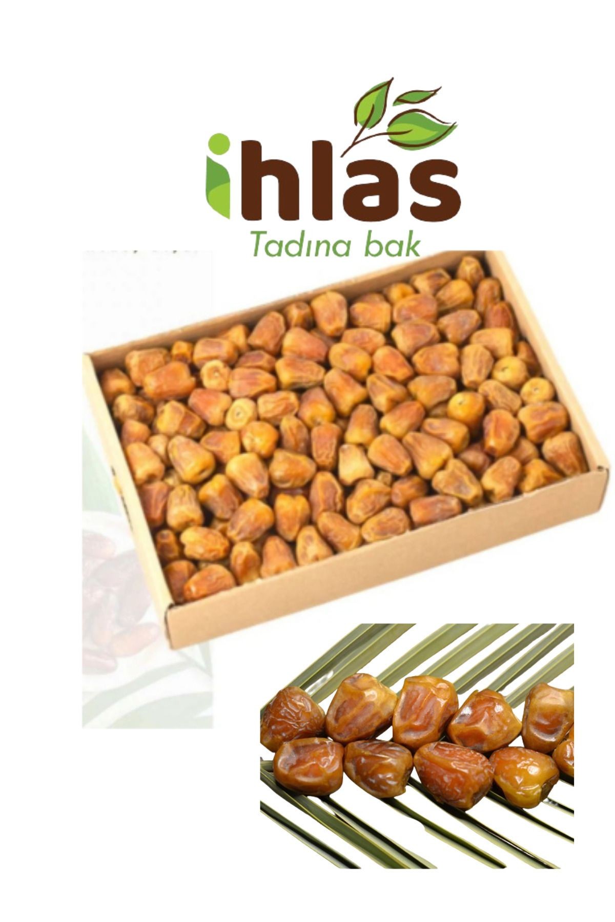 Medine Yaş Hurma 3.2 Kilo Yumuşak Sukkeri Hurma