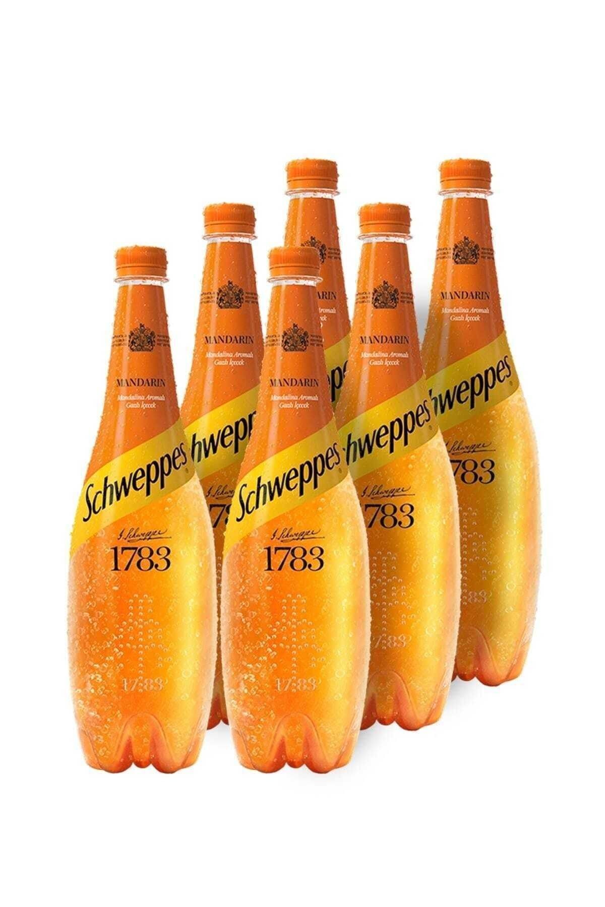 Mandalina Aromalı Gazlı Içecek Pet Şişe 1 Lt 6 Adet