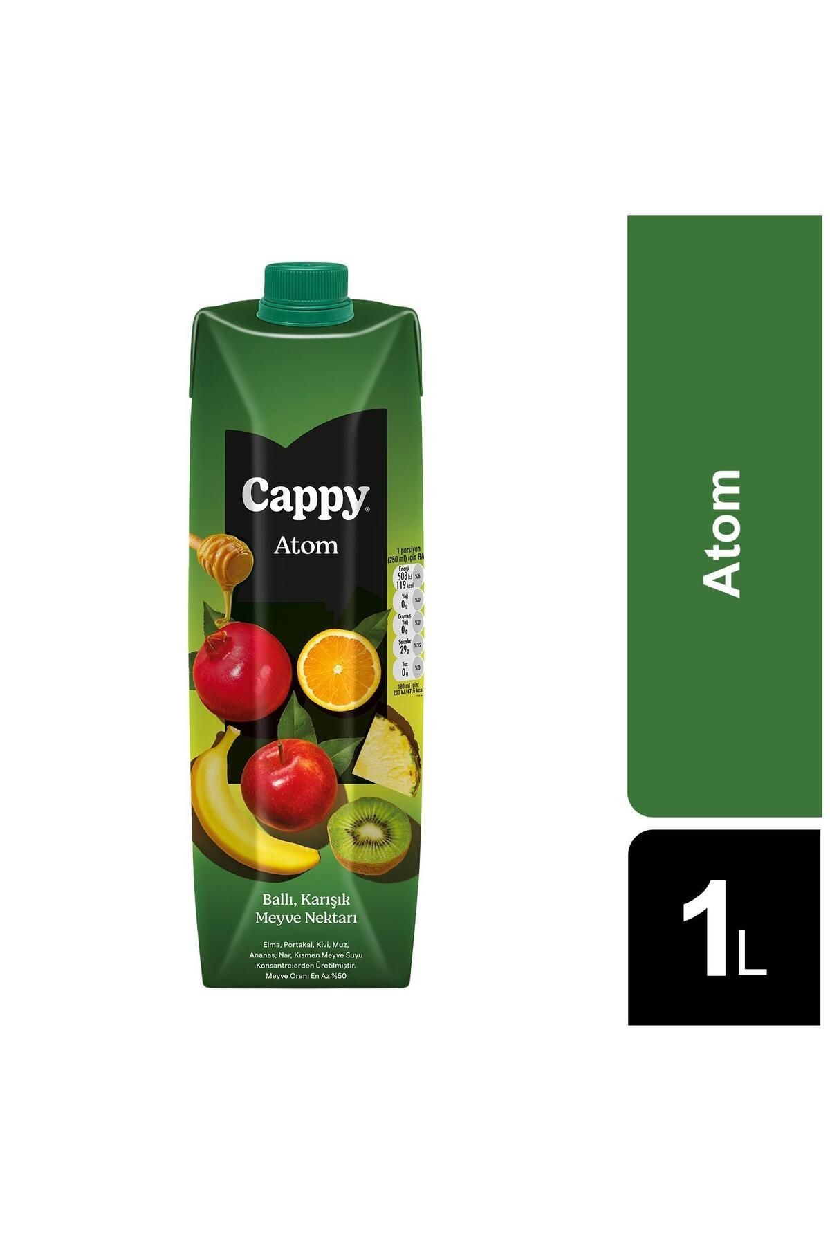 Atom Ballı Karışık Meyve Nektarı 1 Lt X 6 Adet