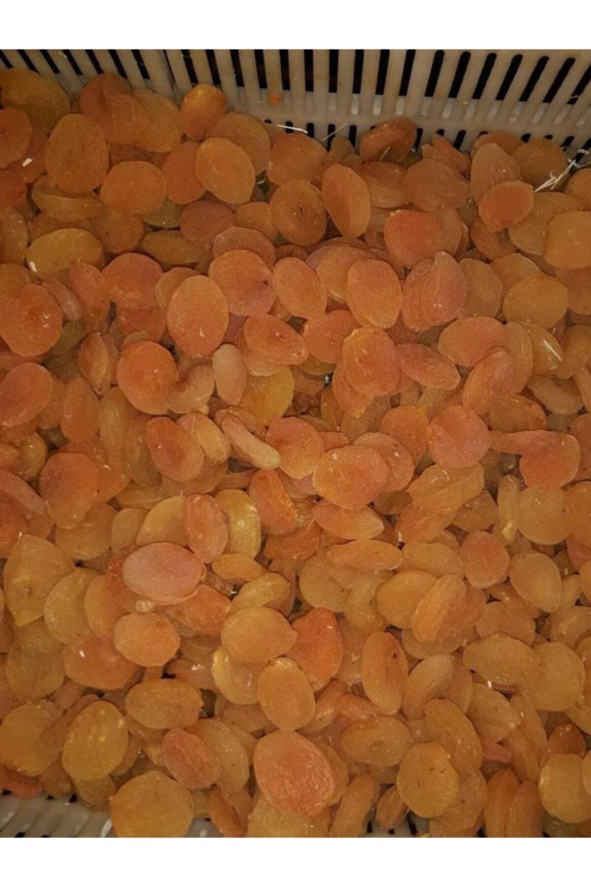 Kaysı Kuru 1000gr