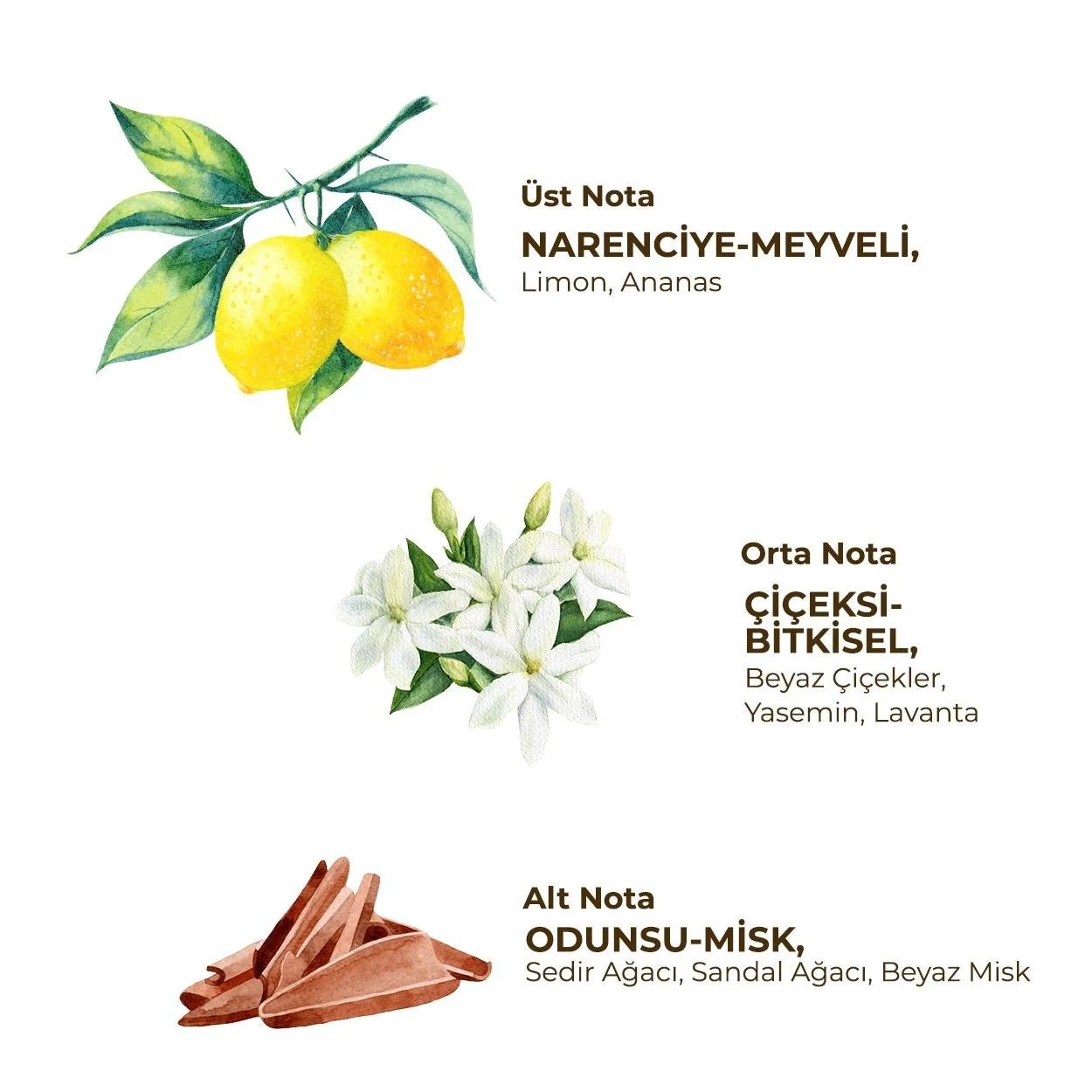 Eyüp Sabri Tuncer Fresh - Kadın Roll On Deodorant 75 ml