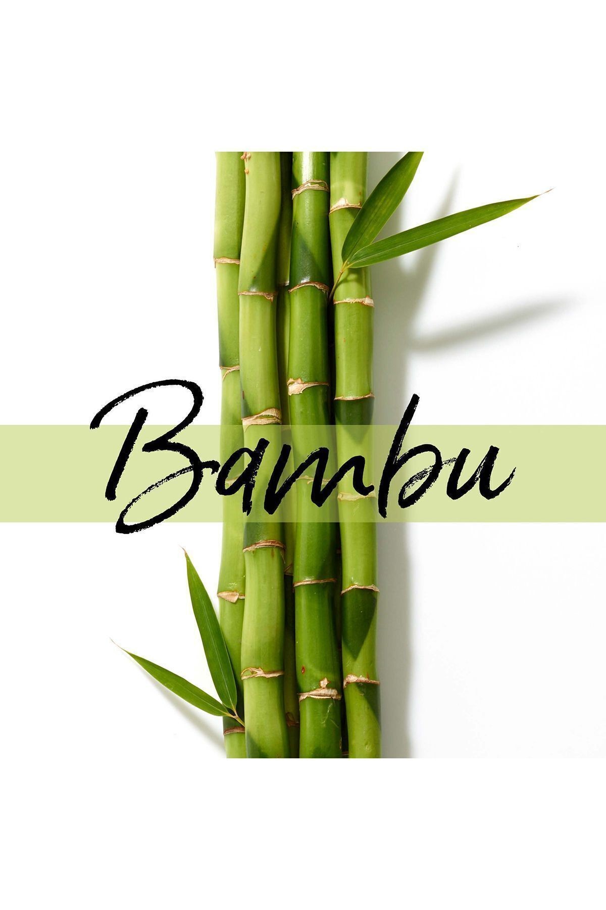 Uzun Ve Güçlü Saçlar Bambu Ve Biyotinli Şampuan 350 ml