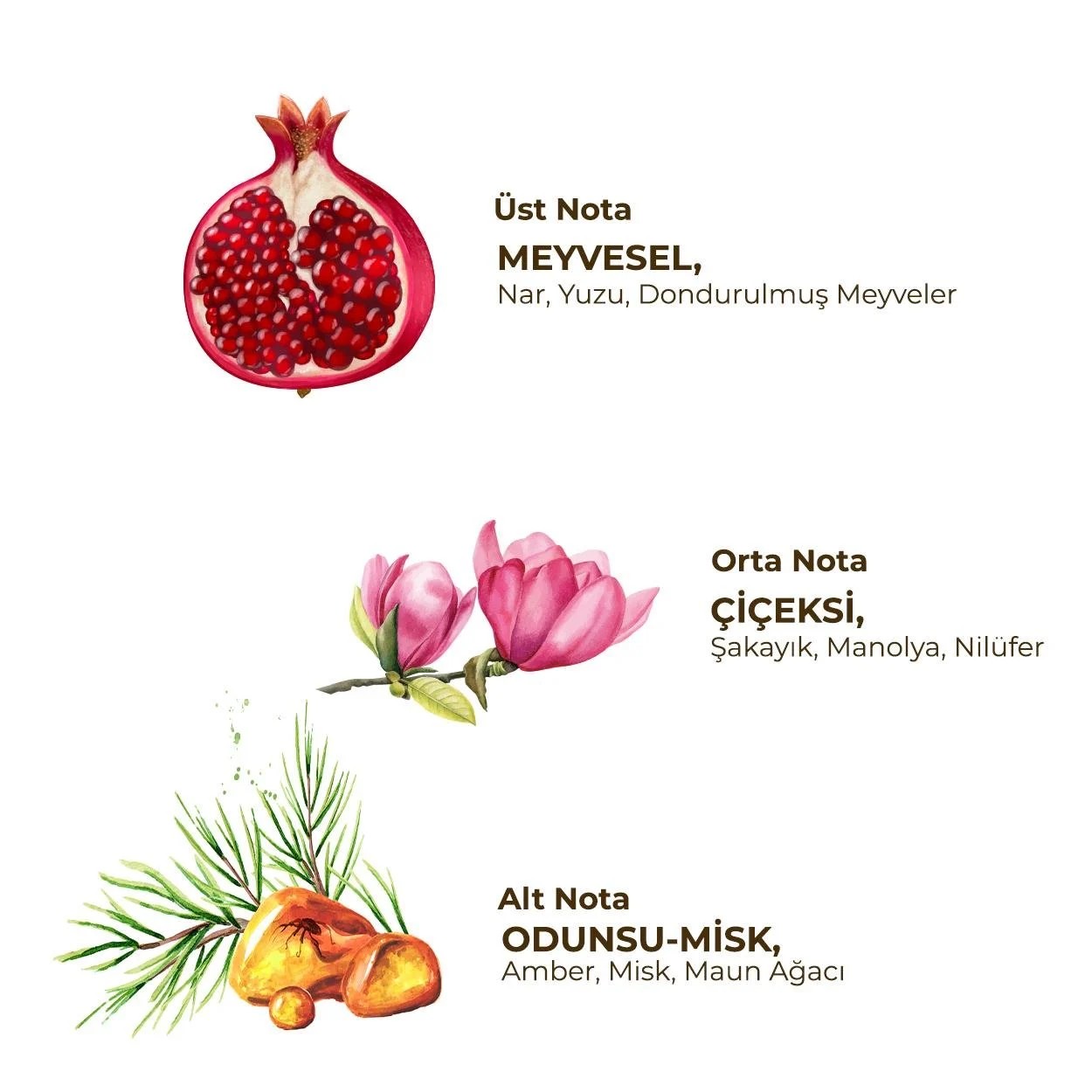 Eyüp Sabri Tuncer Floral - Kadın Roll On Deodorant 75 ml