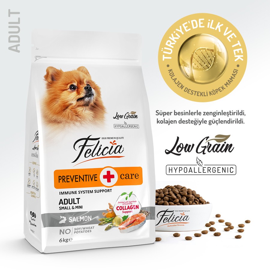 Felicia Yetişkin Somonlu Small Az Tahıllı/Mini HypoAllergenic Köpek Maması 6 KG