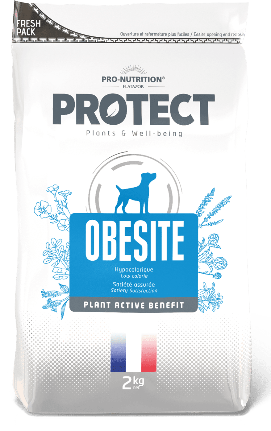 Pro Nutrition Protect Veterinary Obesite Kilo Kontrolü İçin Köpek Maması 2 KG