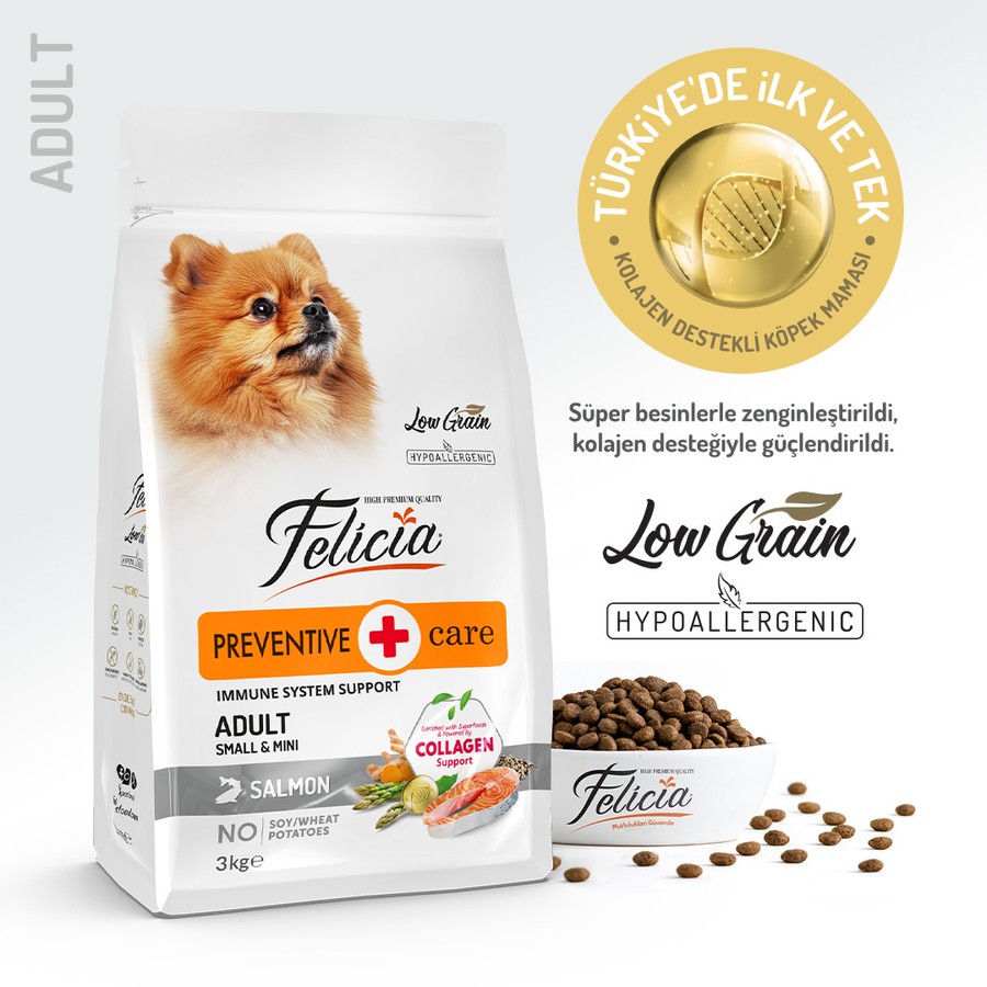 Felicia Yetişkin Somonlu Small Az Tahıllı/Mini HypoAllergenic Köpek Maması 3 KG