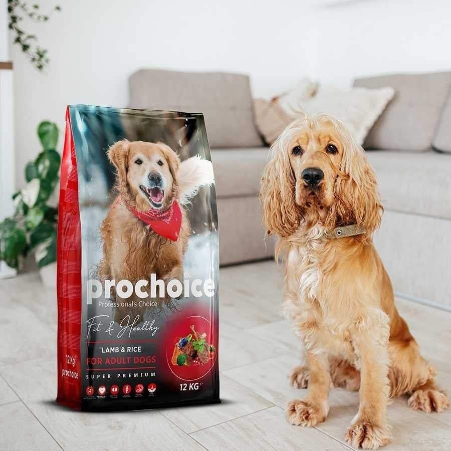 ProChoice Fit&Healthy Kuzu Etli ve Pirinçli Köpek Maması 12 KG