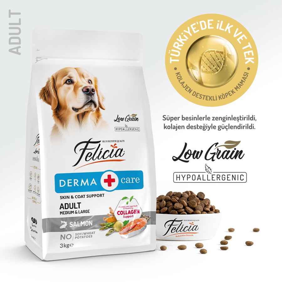 Felicia Yetişkin Somonlu M/Large Az Tahıllı Breed HypoAllergenic Köpek Maması 3 KG
