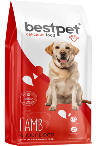 Bestpet Kuzu Etli Yetişkin Kuru Köpek Maması 15 KG