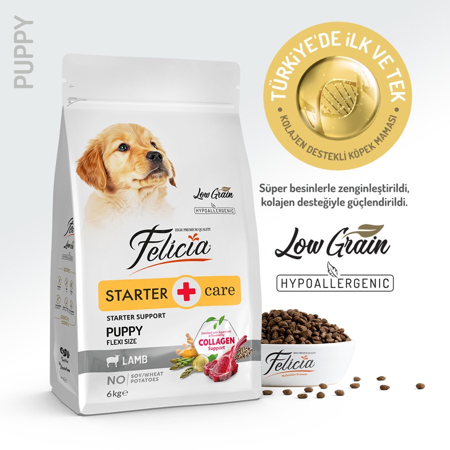 Felicia Yavru Kuzulu Small/Mini Az Tahıllı HypoAllergenic Köpek Maması 6 KG