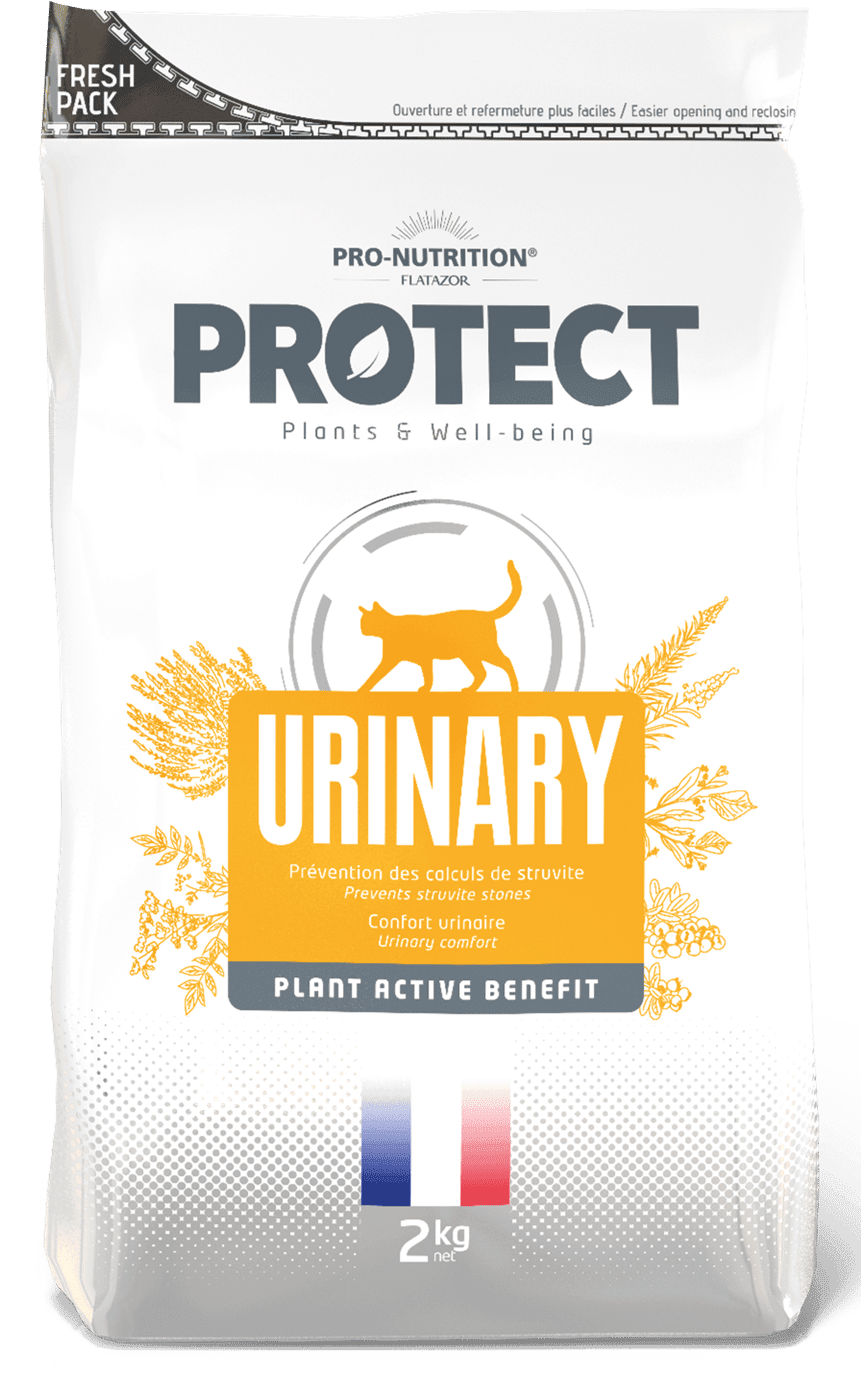 Pro Nutrition Protect Veterinary Urinary İdrar Yolu Sağlığı Destekleyici Kedi Maması 2 KG