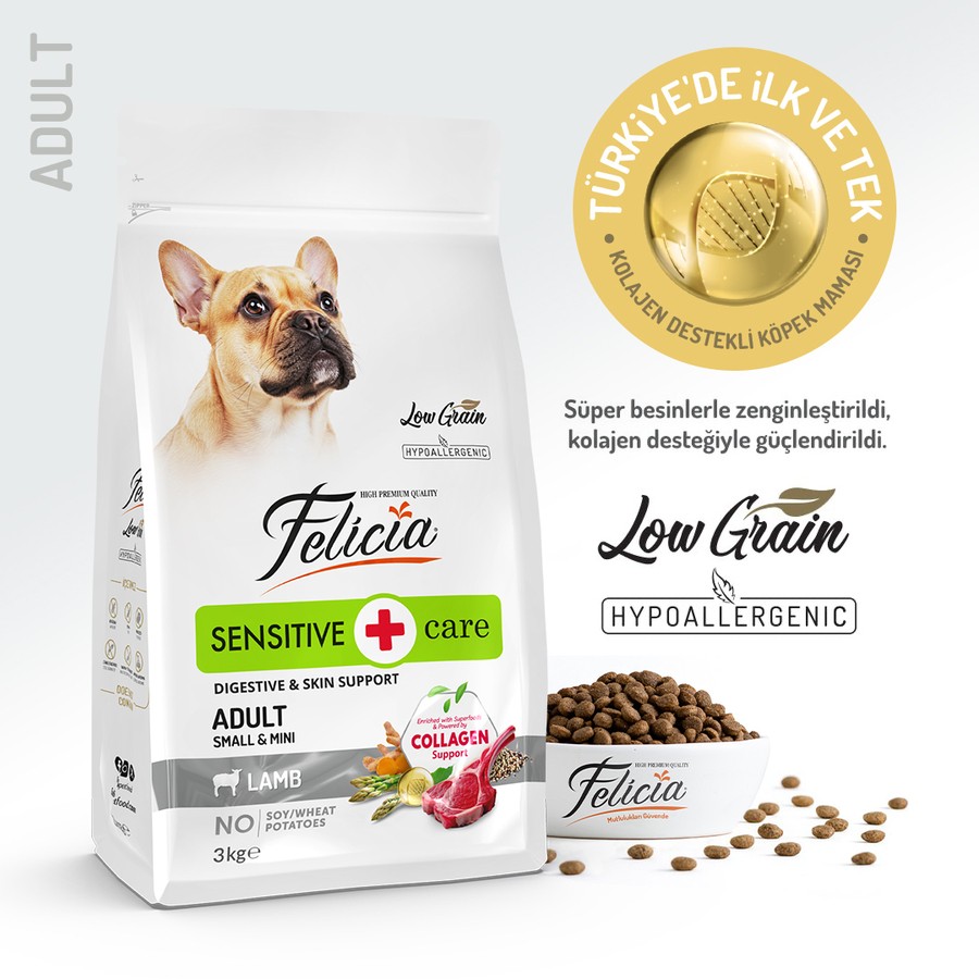 Felicia Yetişkin Kuzulu Small/Mini Az Tahıllı HypoAllergenic Köpek Maması 3 KG