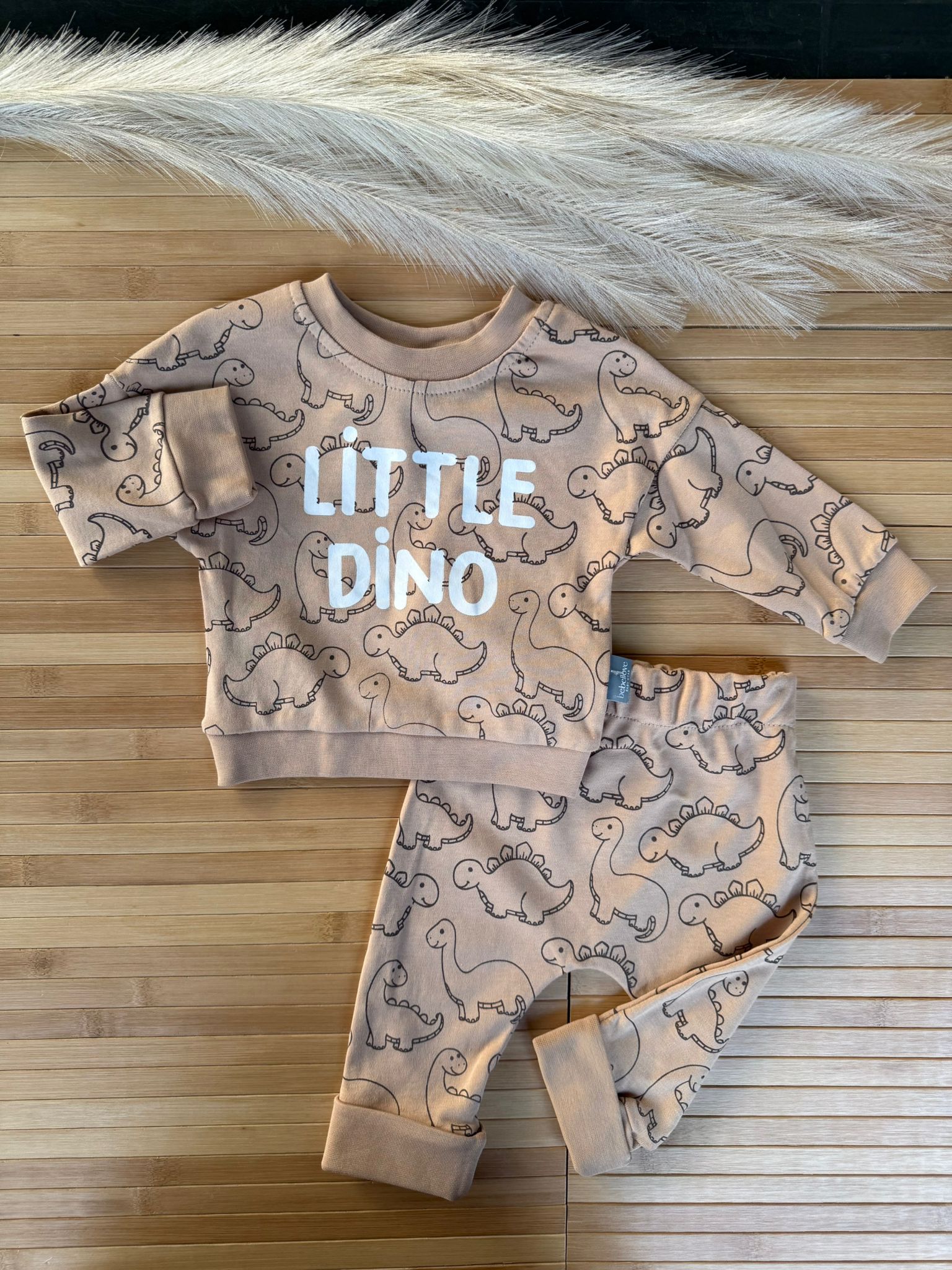 Little Dino Erkek Bebek Sweat Takım 
