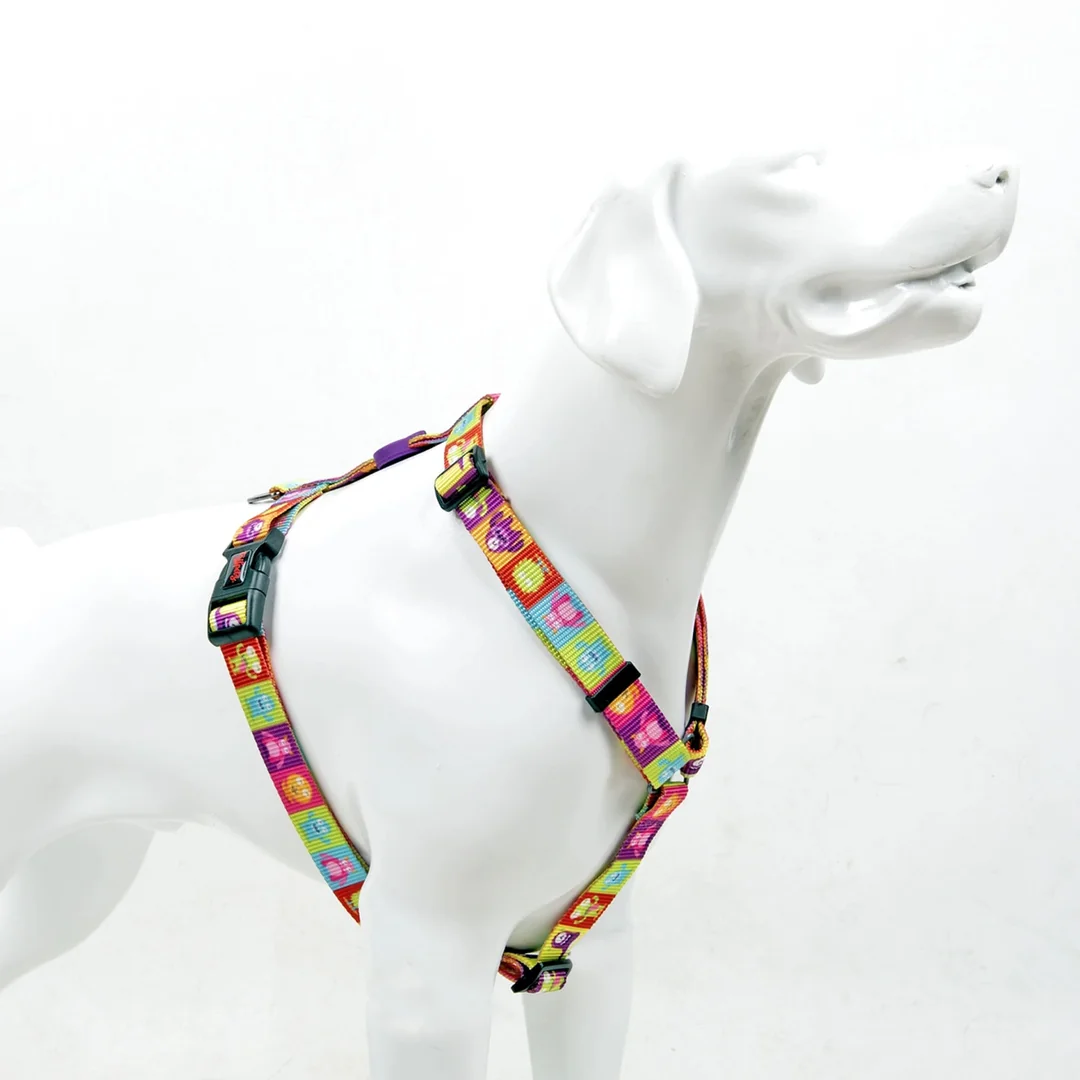 H Tipi Köpek Göğüs Tasması