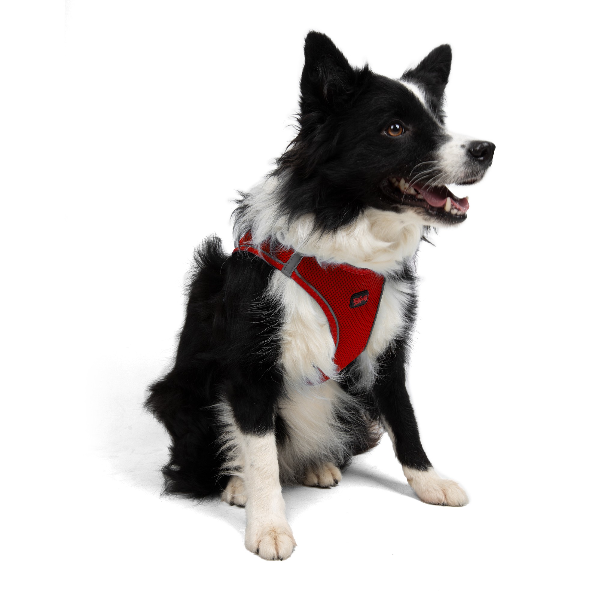 Tailpetz Air-mesh Harness Köpek Göğüs Tasması