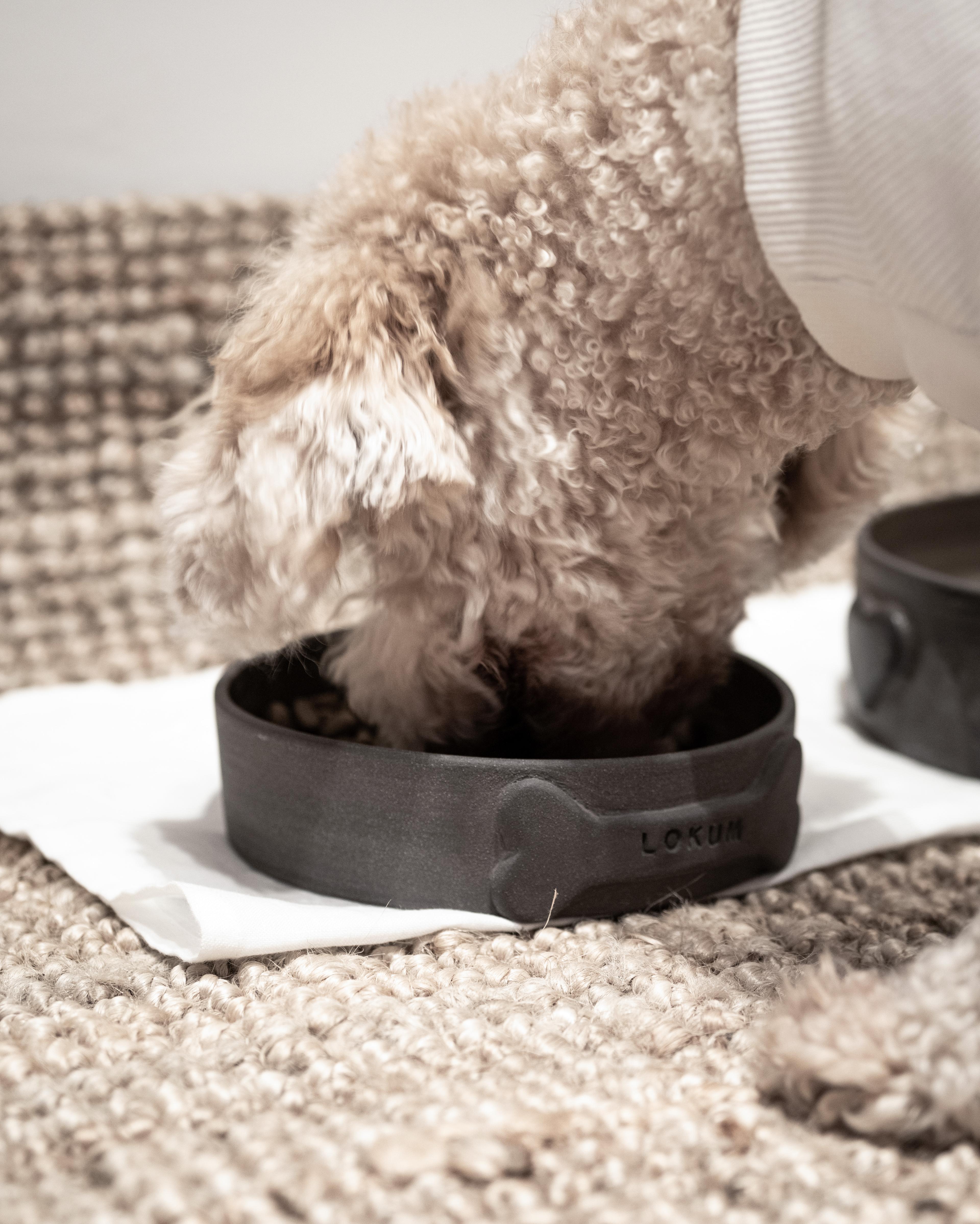 Orenda Pet Bowl