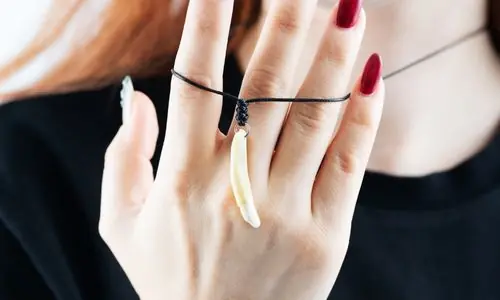 Kurt Dişi Kolye - Beyaz