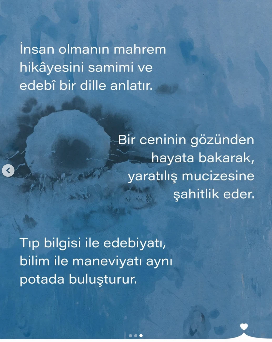 Bir Ceninin Günlüğü