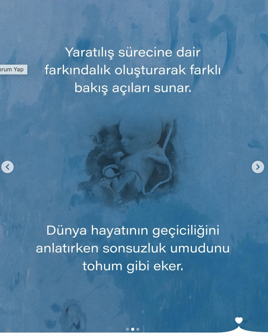 Bir Ceninin Günlüğü