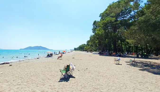 Ağaçlarla çevrili geniş kumsal ve deniz kenarında yürüyen insanlar