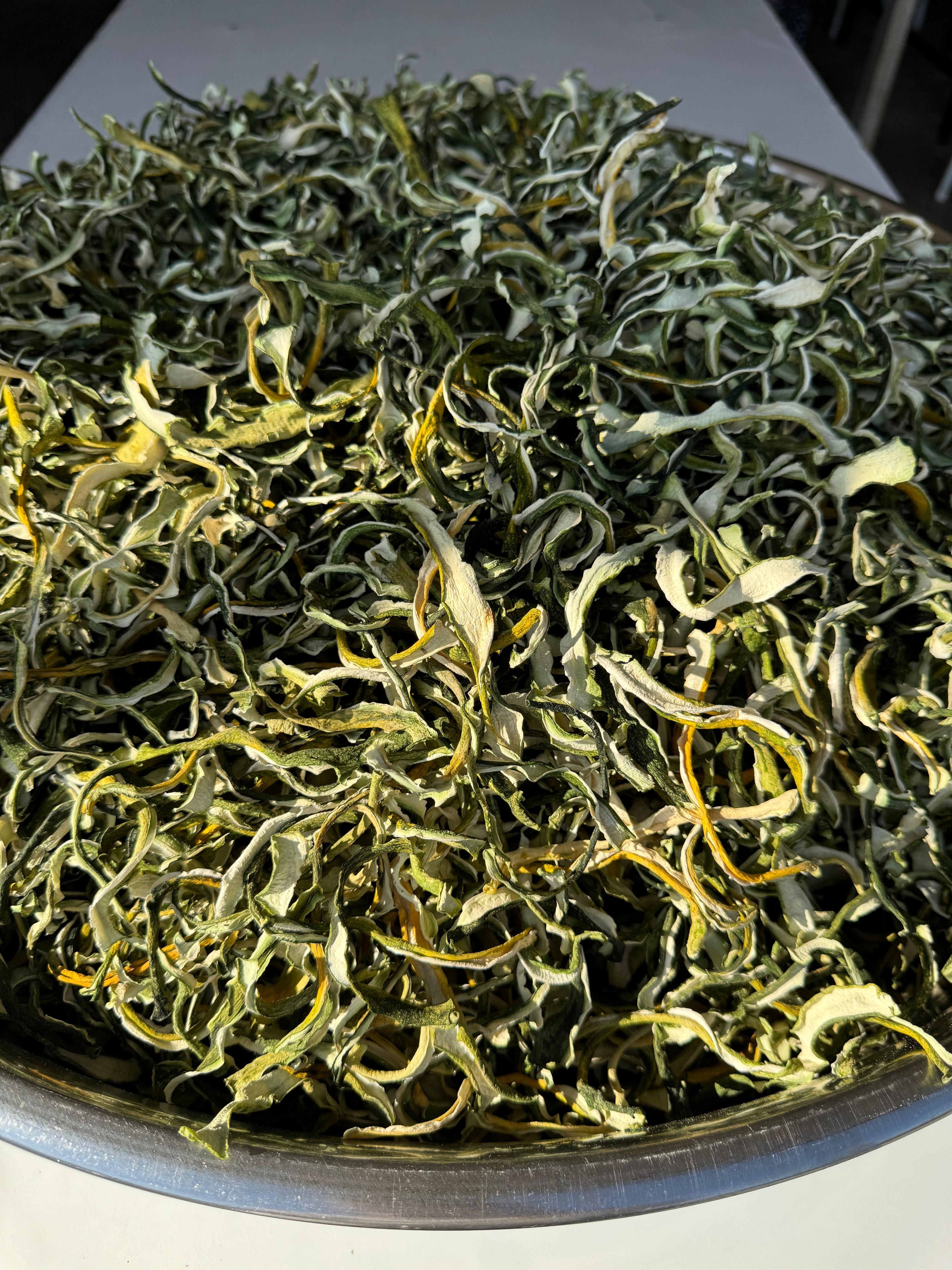 KABAK KABUĞU