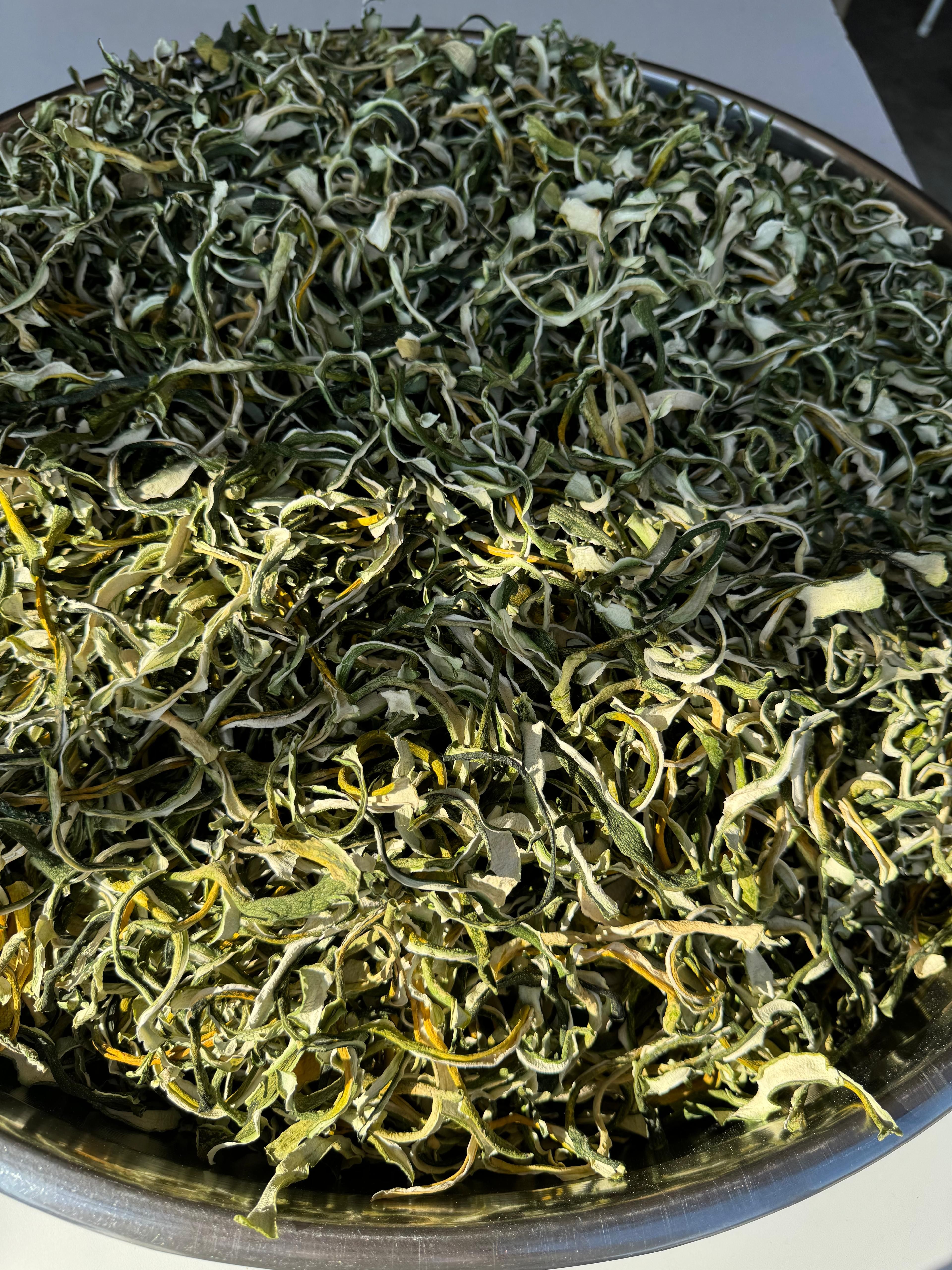 KABAK KABUĞU