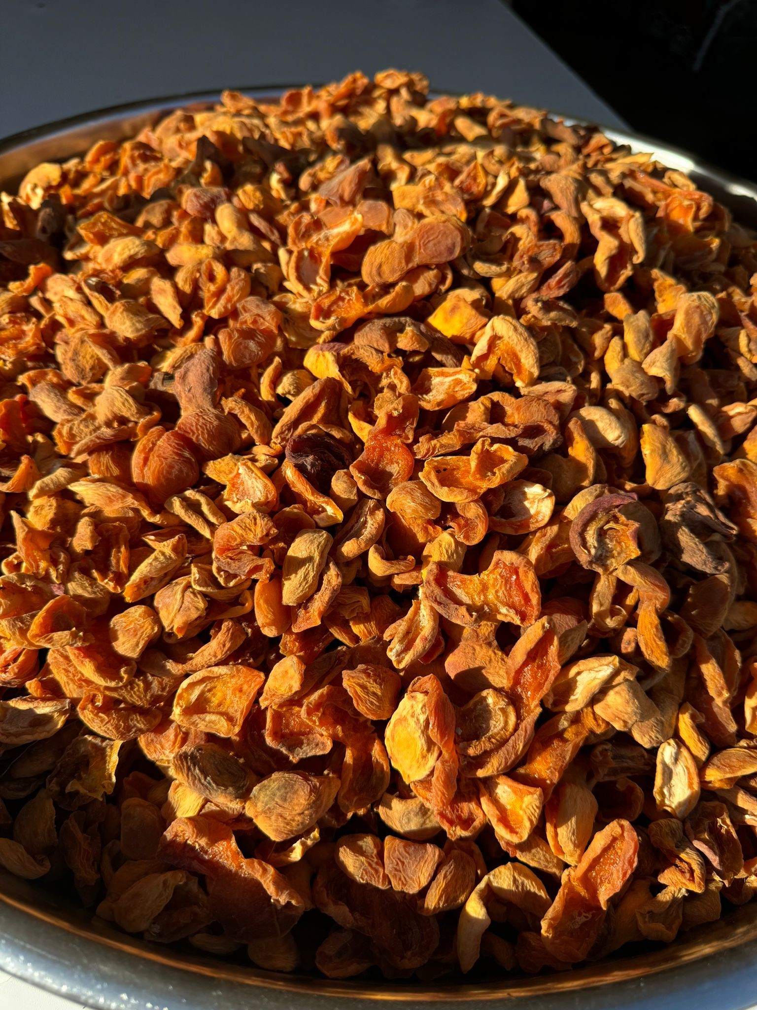 KAYISI KURUSU(ÇİRİ)
