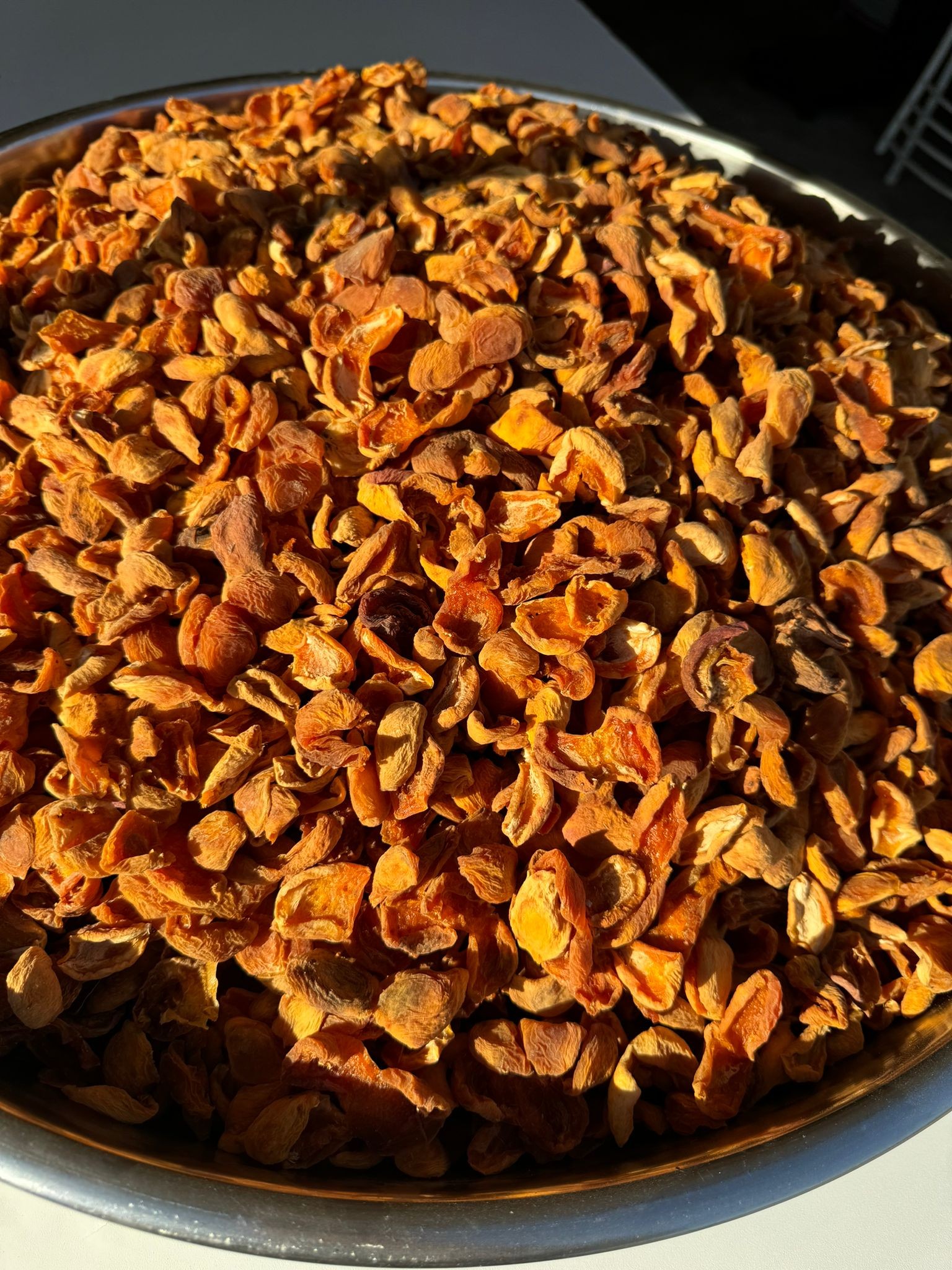 KAYISI KURUSU(ÇİRİ)