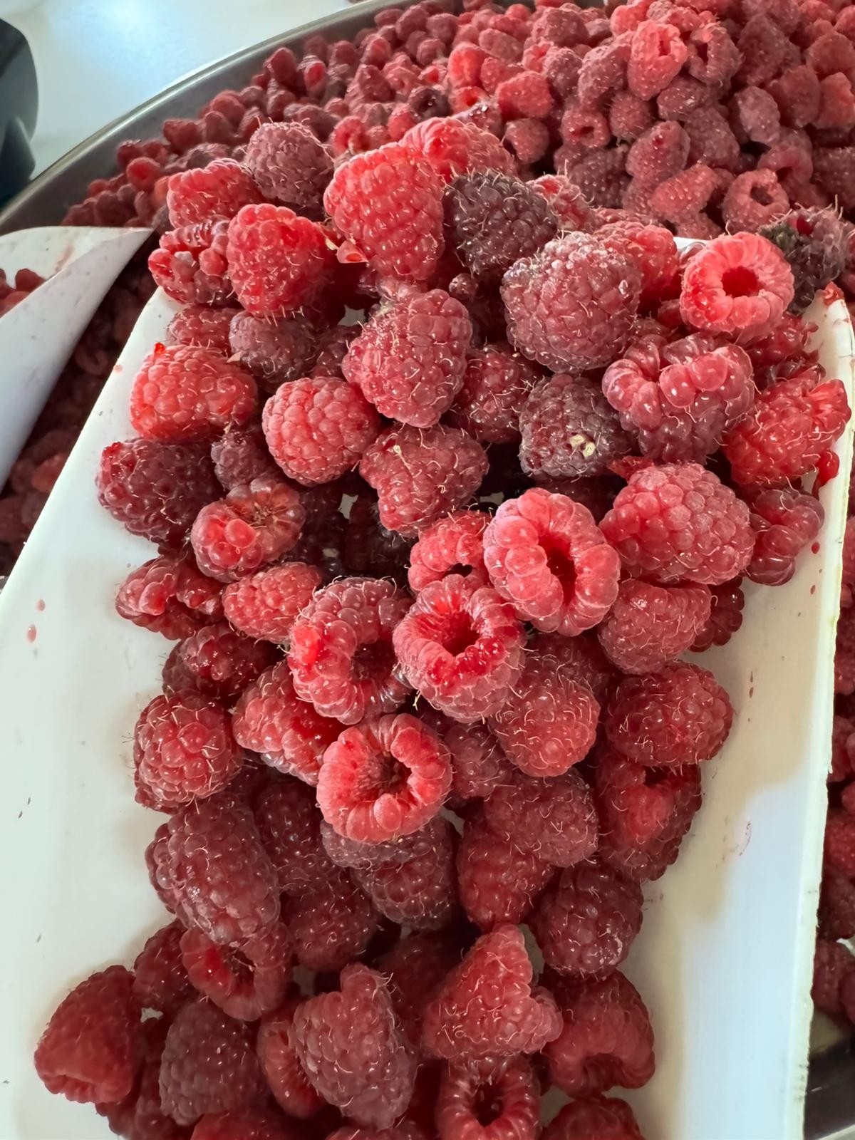 FRAMBUAZ(AHUDUDU) 1KG