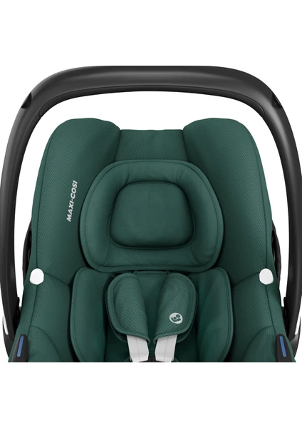 Maxi Cosi Cabrio Fix I-Size Ana Kucağı Essenital Green