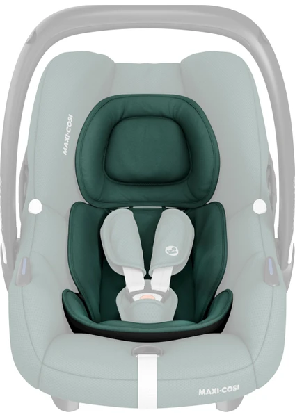 Maxi Cosi Cabrio Fix I-Size Ana Kucağı Essenital Green