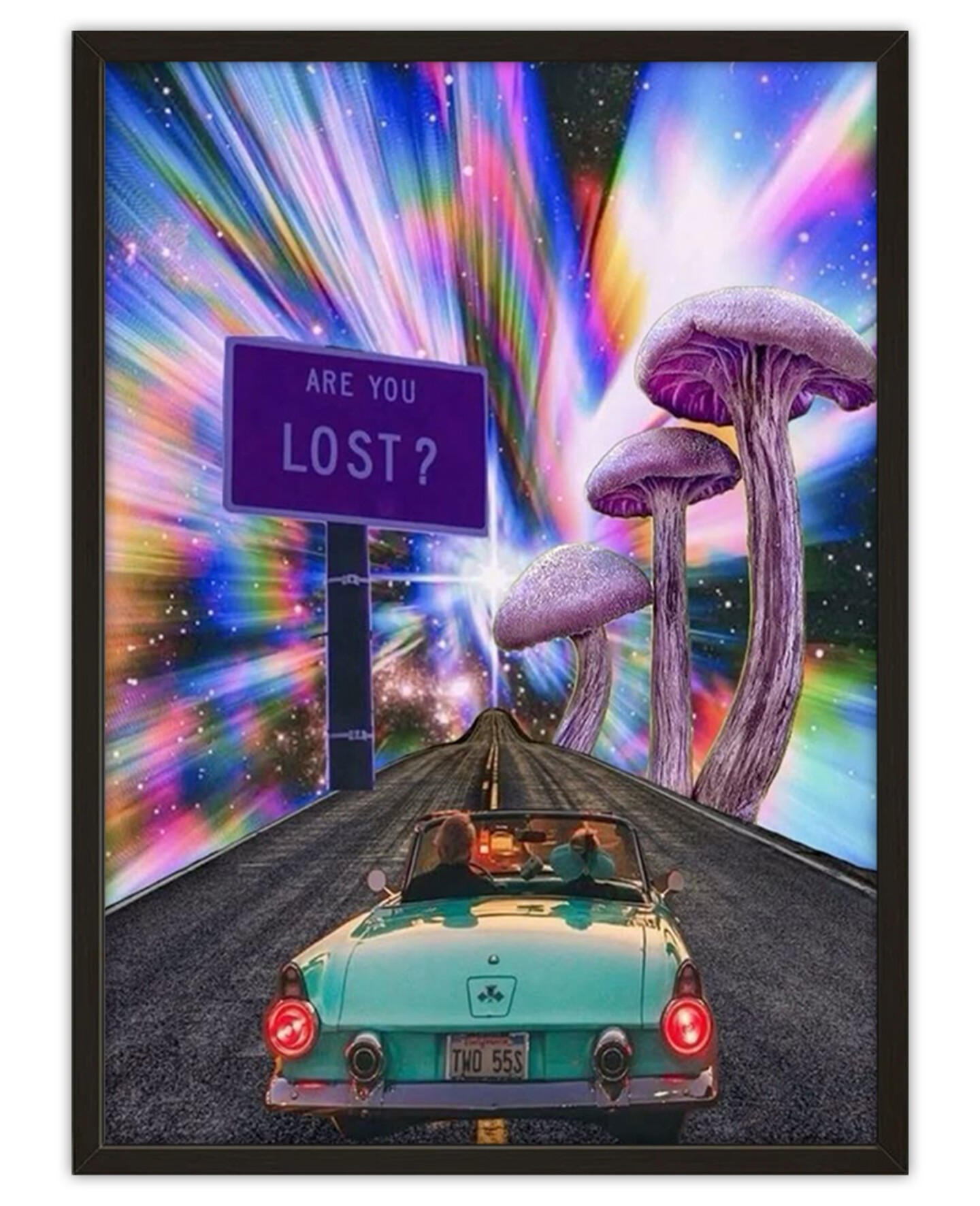 lost in the trip