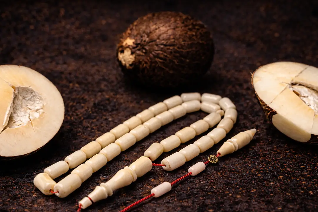 Narçıl ve Narçıl Çekirdeği