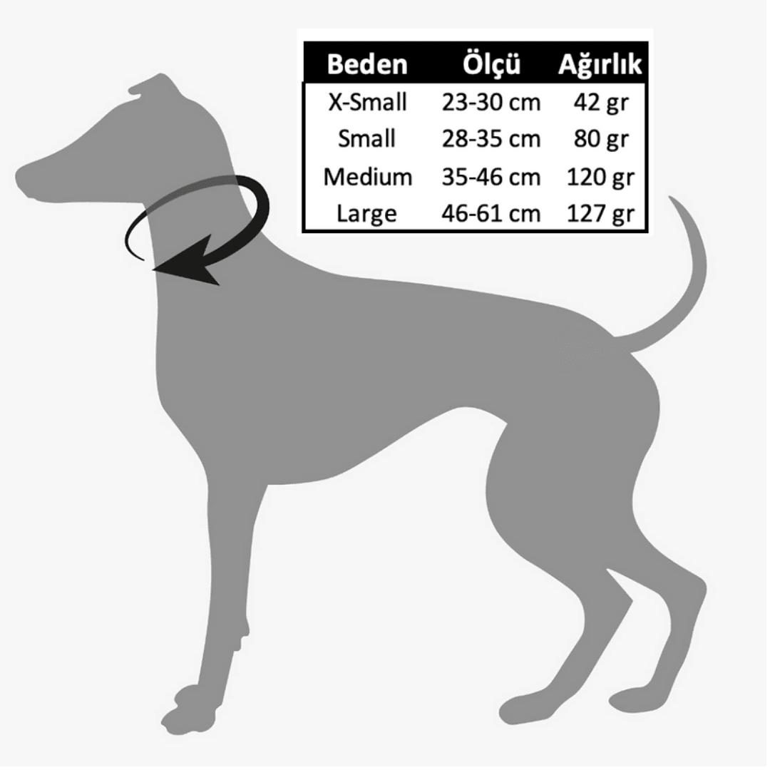 Rocco Köpek Boyun Tasma Seti