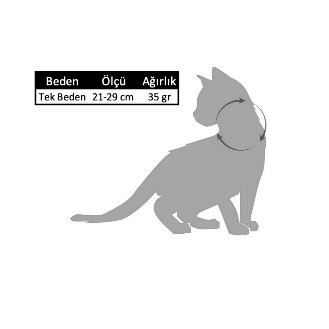 Norwick Kedi Boyun Tasma Seti