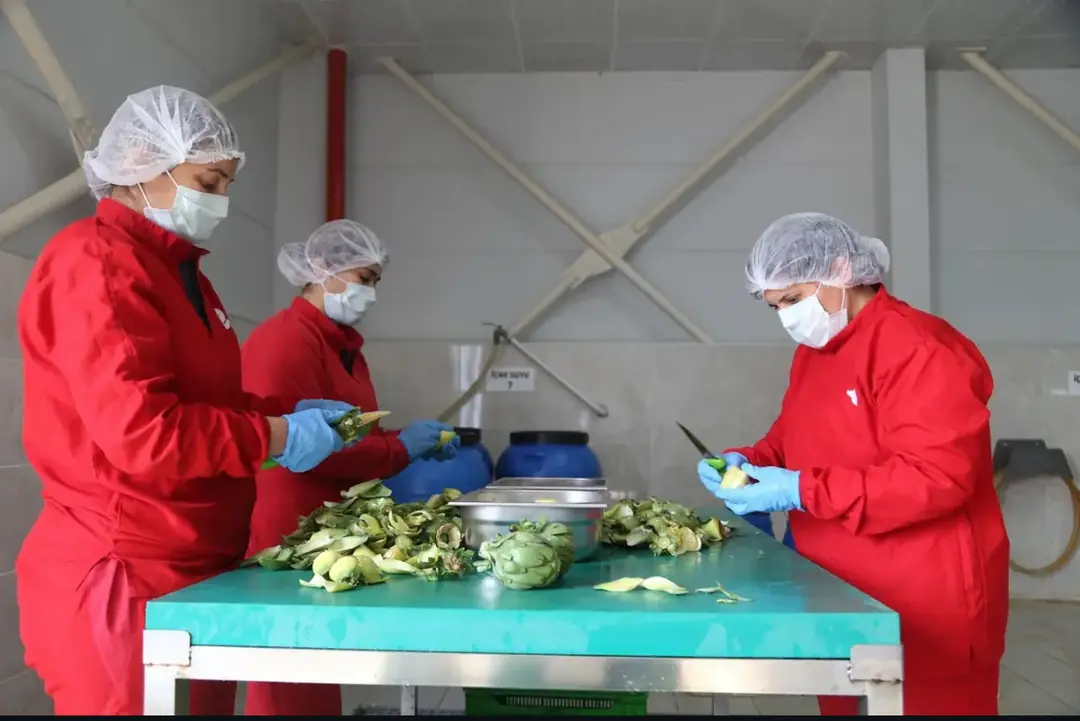 Efeler Pazarı - Hakkımızda