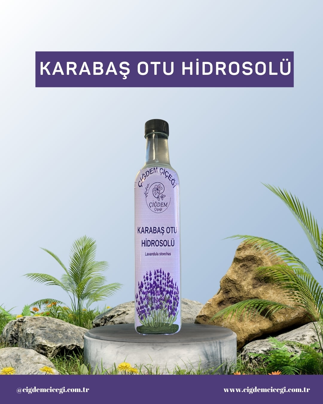 Karabaş Otu Hidrosolü