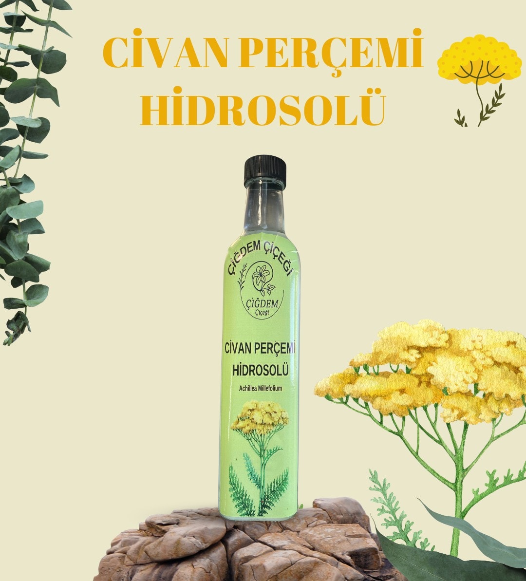 Civan Perçemi Hidrosolü