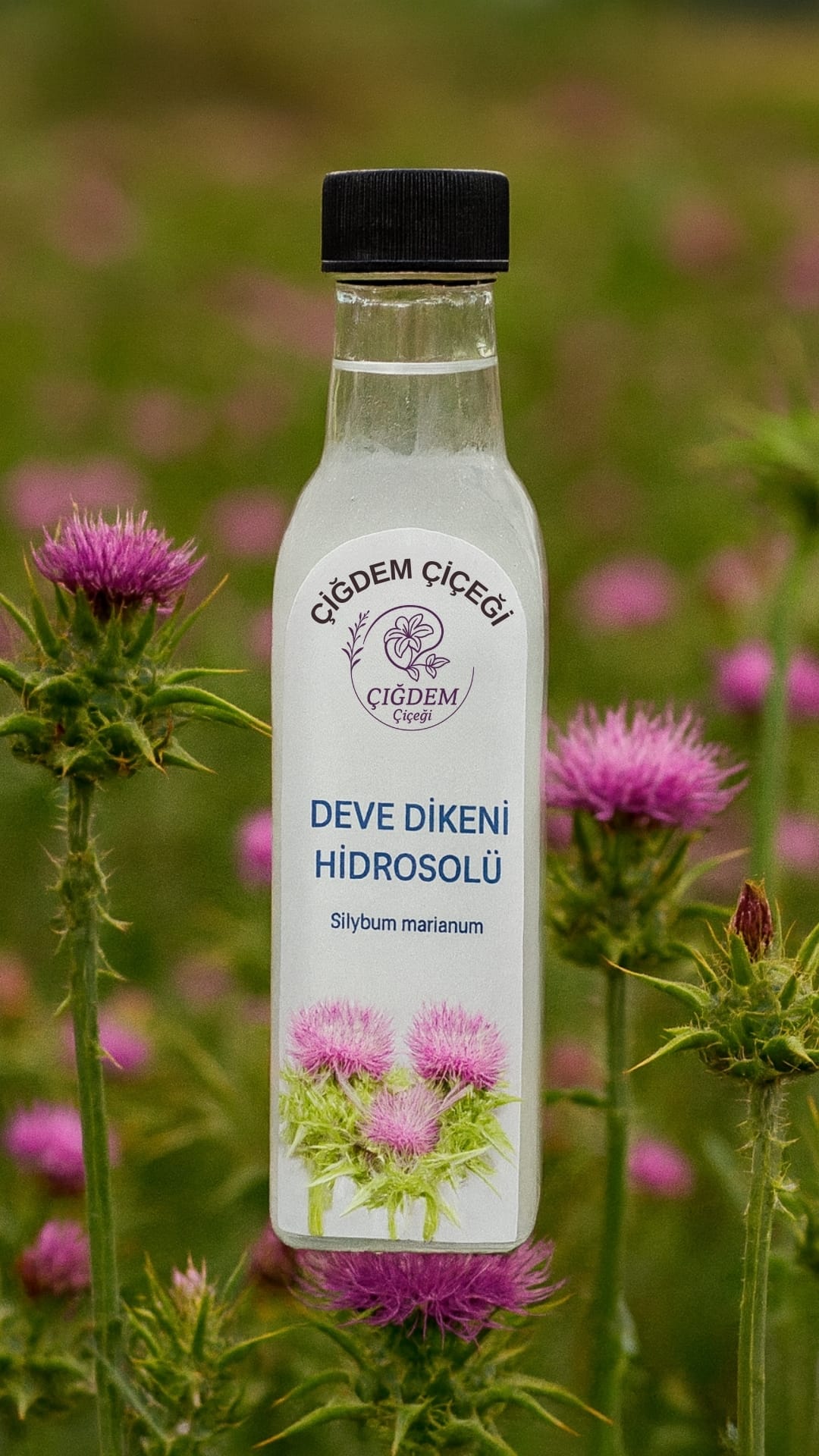 Deve Dikeni Hidrosolü (250 Ml)