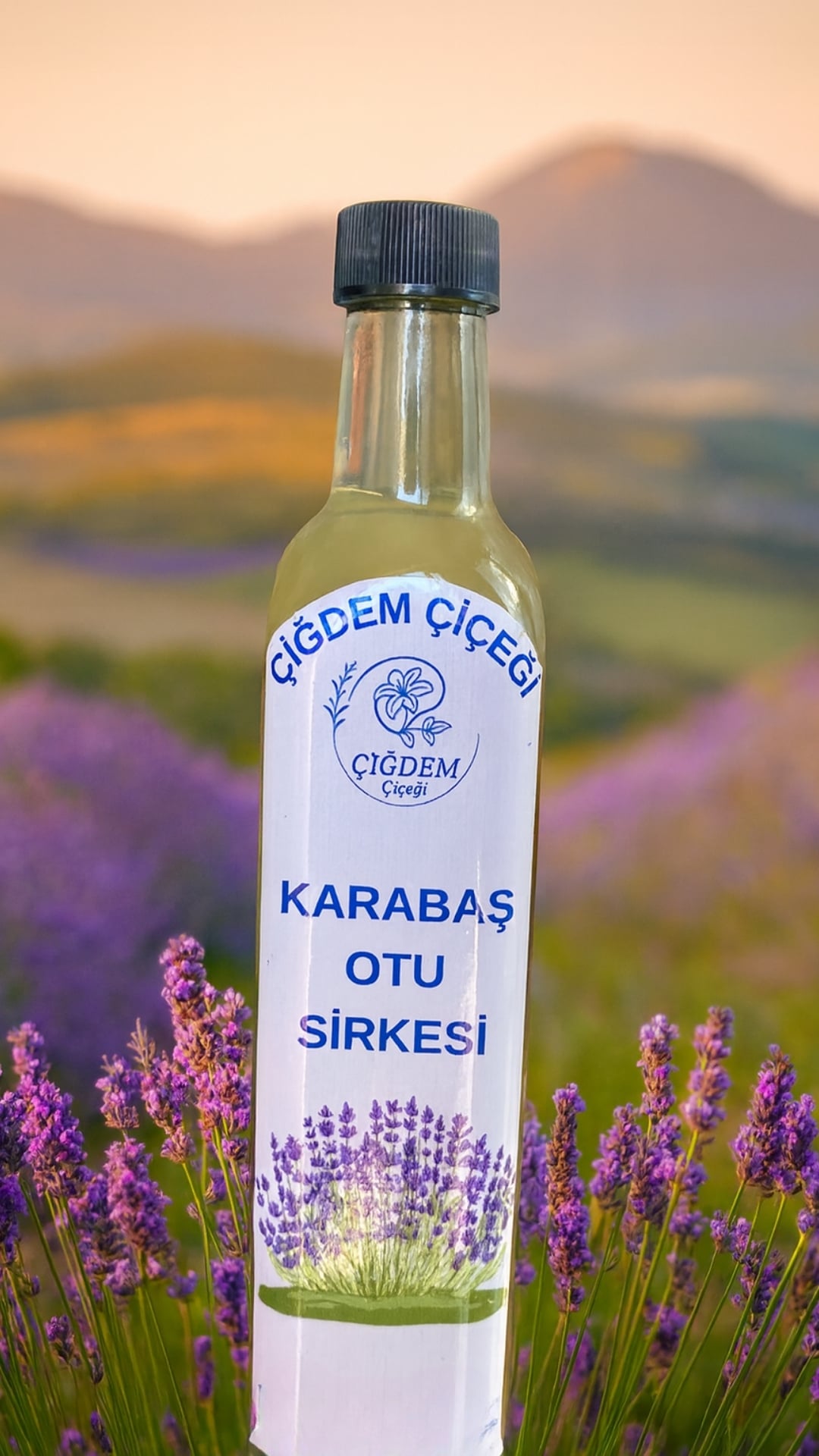 Karabaş Otu Sirkesi (500 Gr)