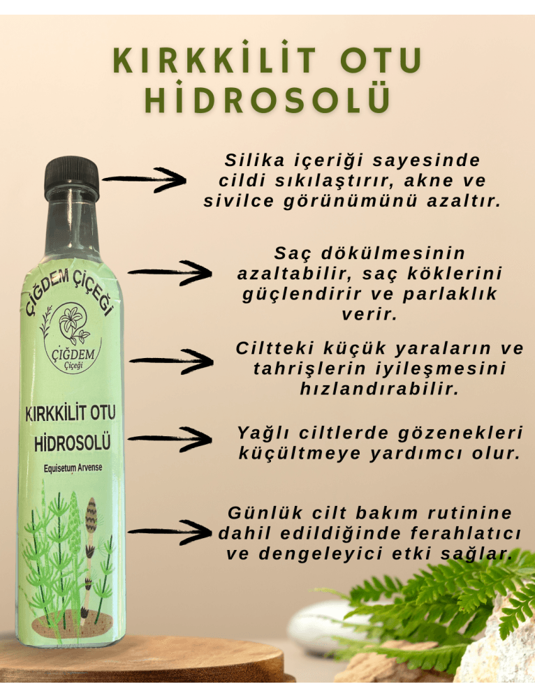 Kırkkilit Otu Hidrosolü (500 Gr)